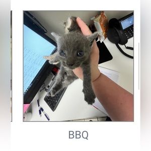 PRIVATE TRADE - DO NOT BUY